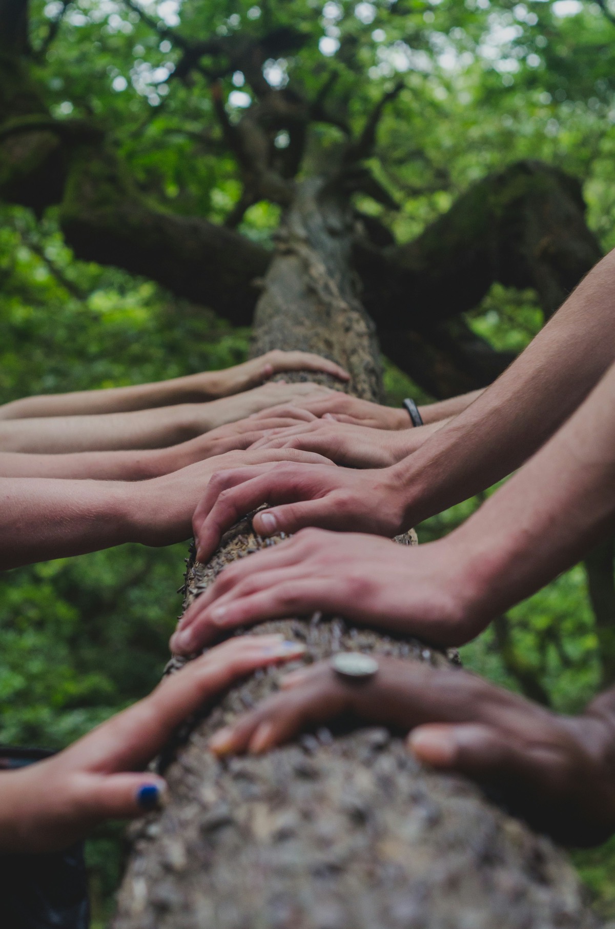 Hands joined together in a circle