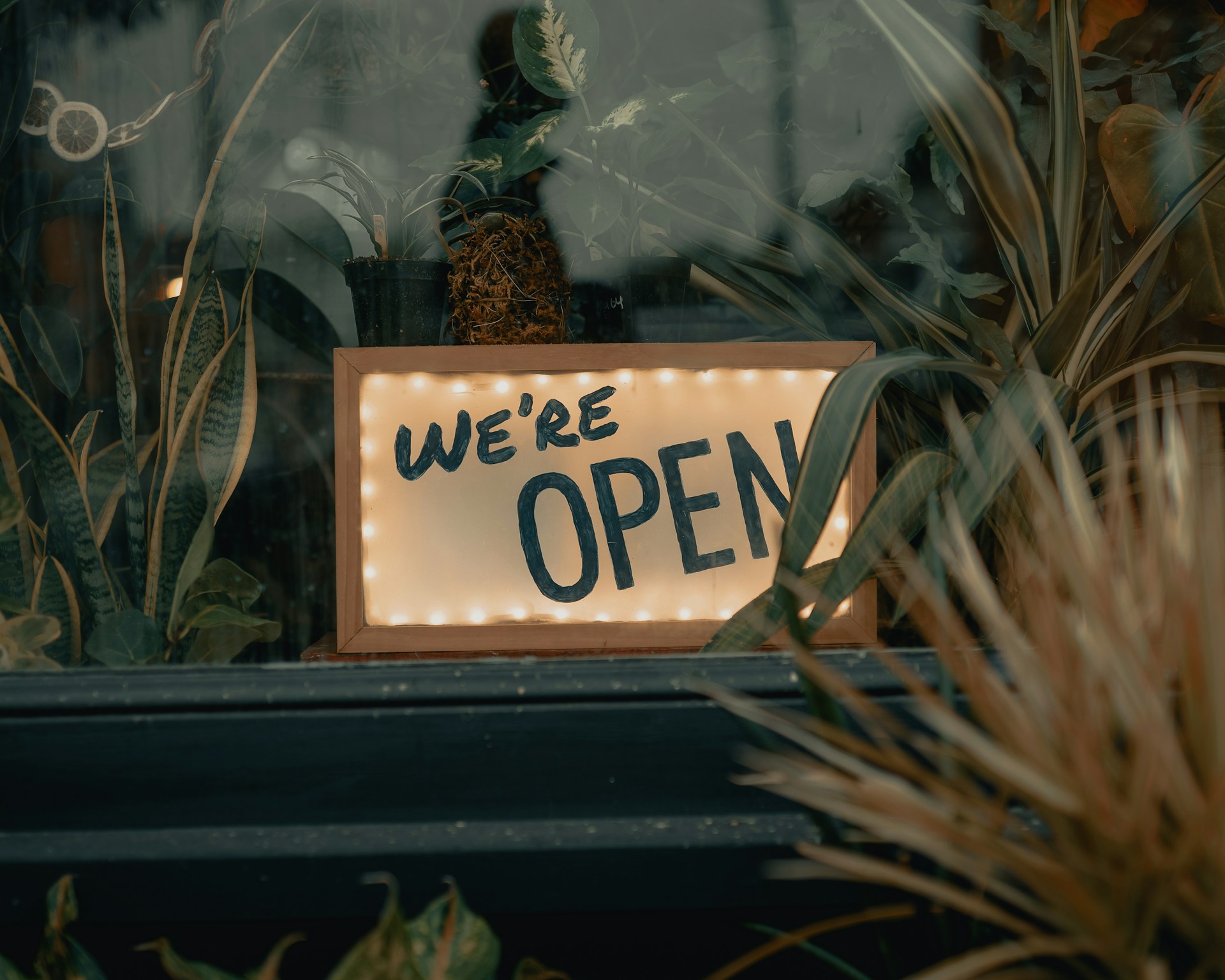 Opening the RenX Marketplace to Third-Party AI Agents